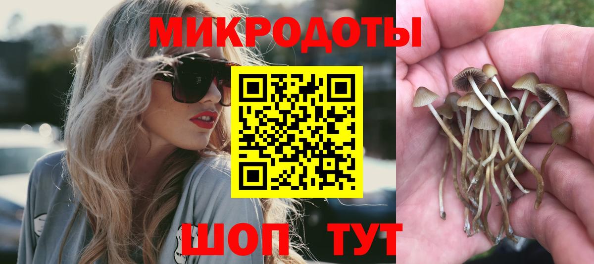 Галлюциногенные грибы GOLDEN TEACHER Лениногорск